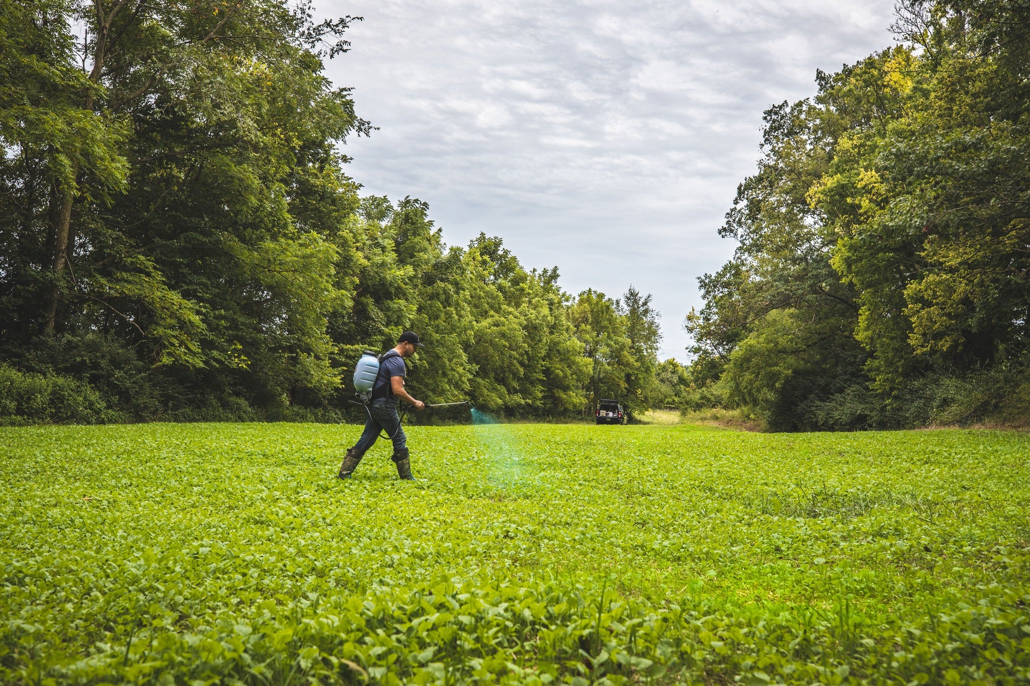 DeerGro PlotStart™: Fast-Acting Calcium Spray for Superior Food Plots ...