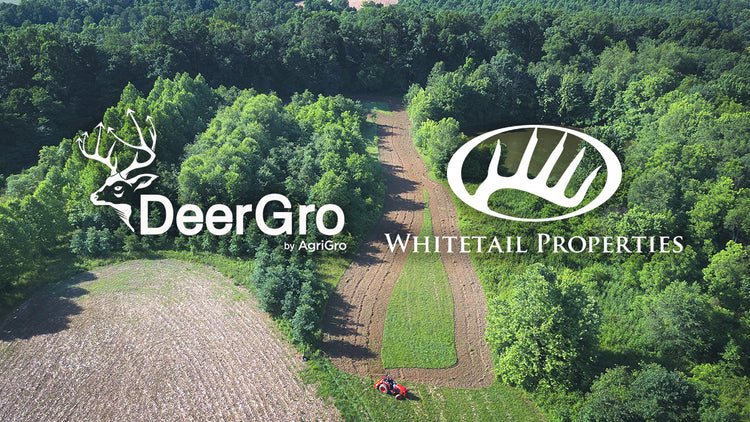 deergro food plot on whitetail properties