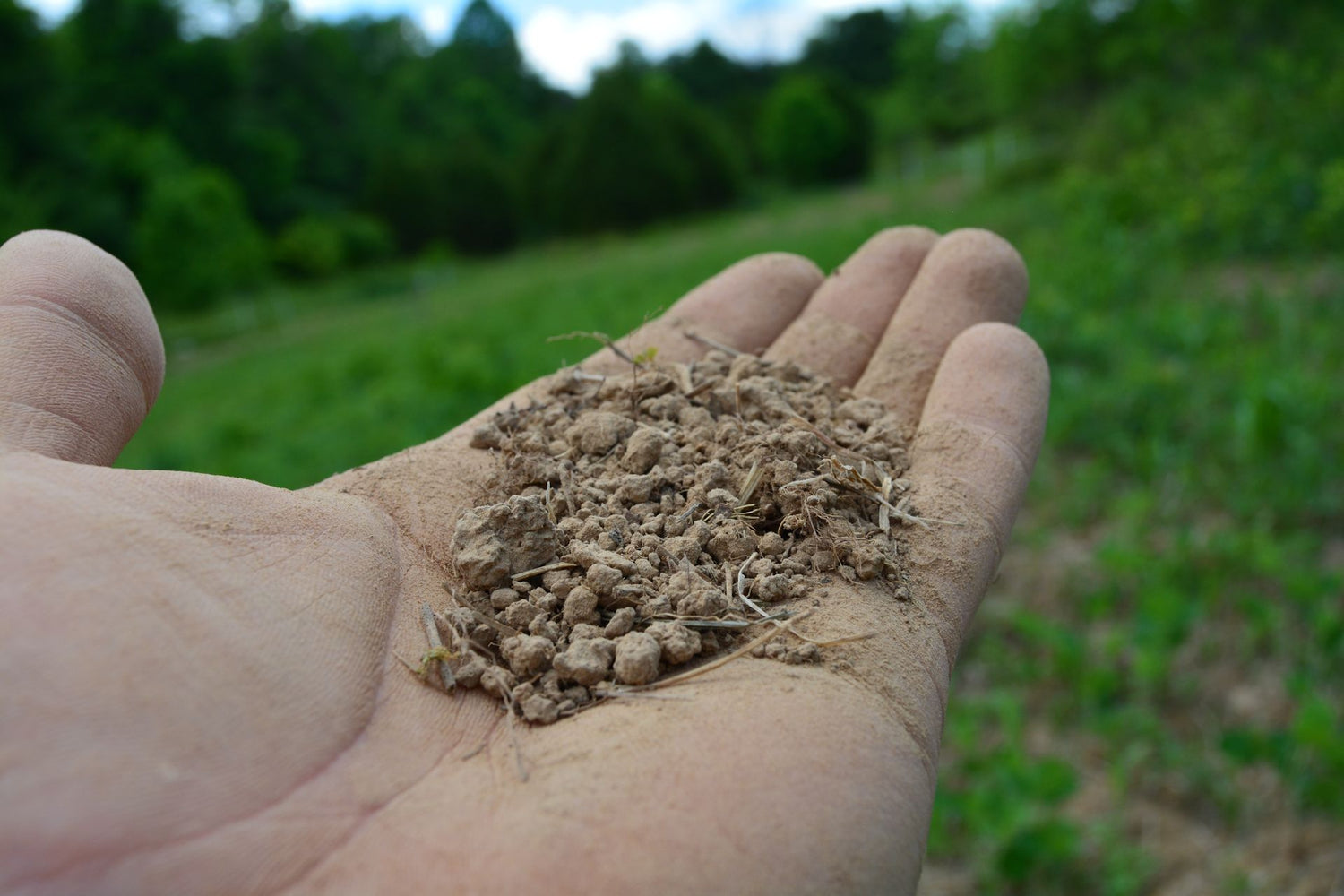 Your Food Plot and its pH | How PlotStart Works - DeerGro