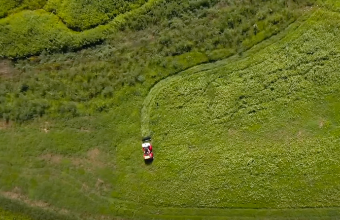 Jeff Sturgis’s Buckwheat/Fall No Till Food Plot Method and DeerGro