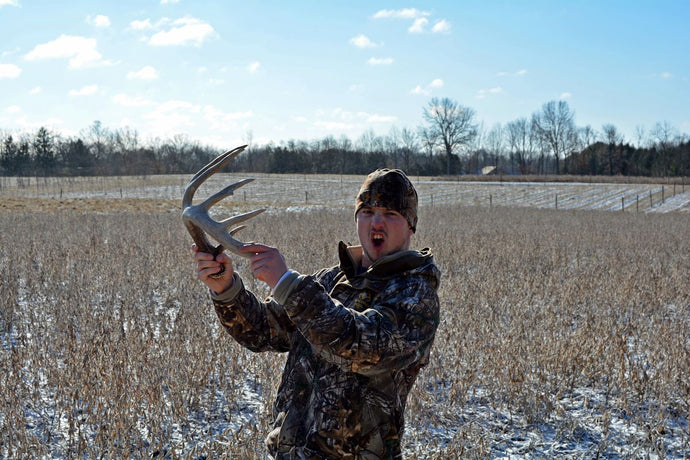 Strategic Food Plotting | Food Sources Produce Antler Sheds