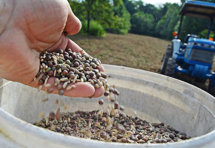 deergro when to plant fall food plots