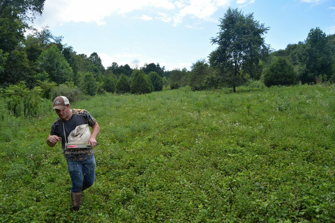 Fall Food Plots | What to Plant and How to Plant Hunting Plots