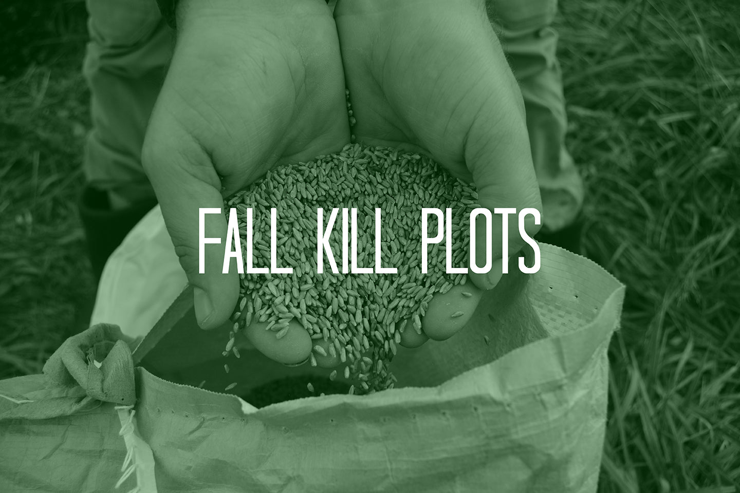 The Secret to Planting More Efficient Fall Kill Plots - DeerGro