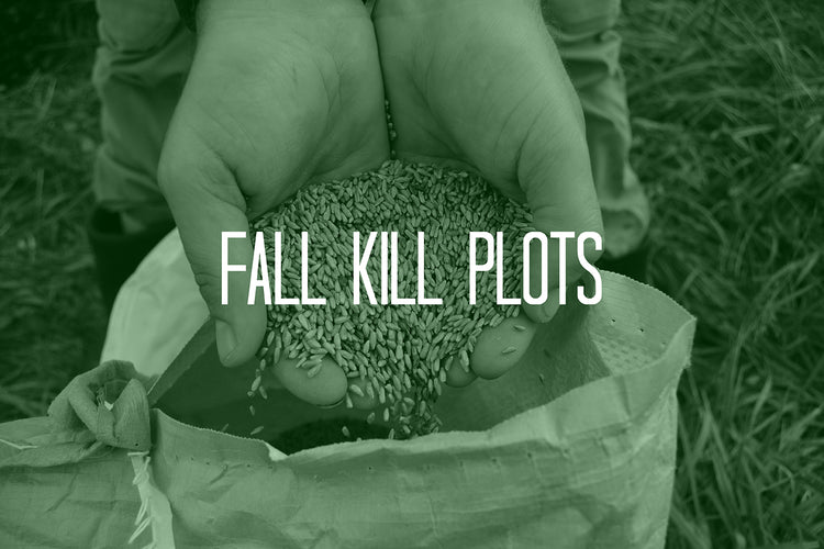 The Secret to Planting More Efficient Fall Kill Plots