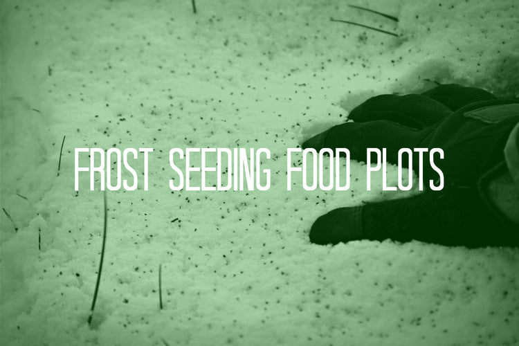 Food Plot 101 | How to Frost Seed Food Plots
