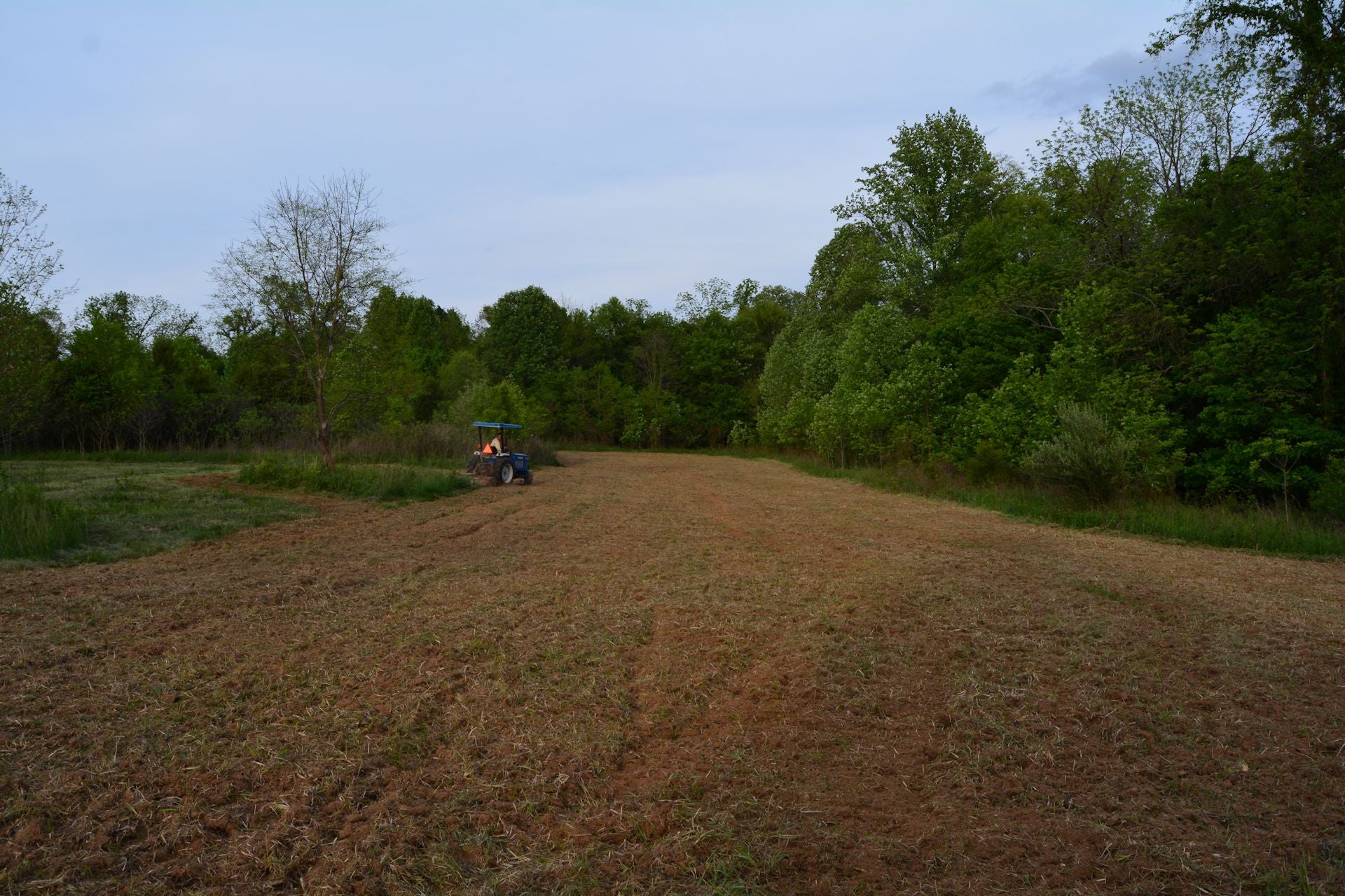 Where And What To Plant In Small Deer Food Plots DeerGro