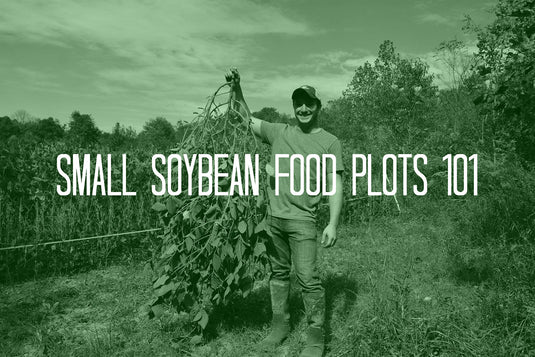 Food Plots 101 | Small Soybean Food Plots