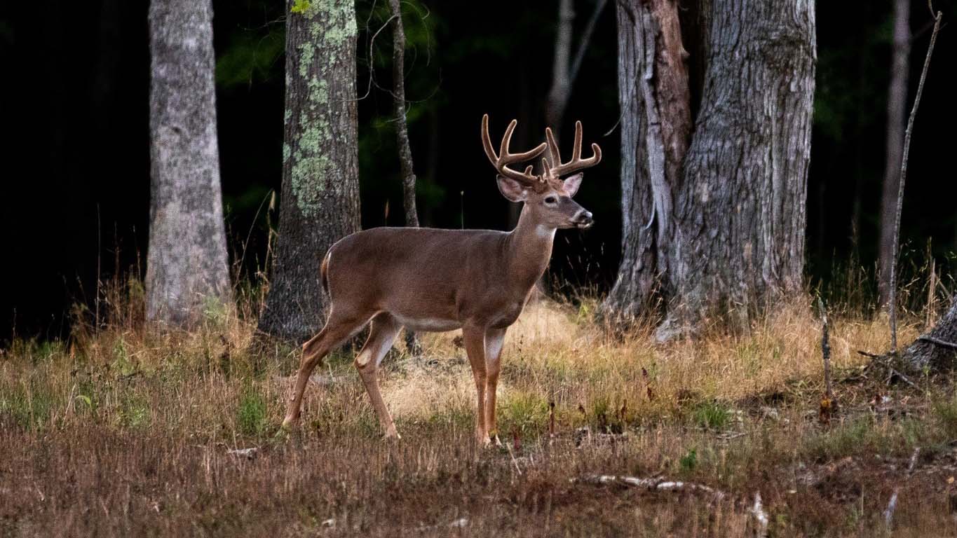 www.deergro.com